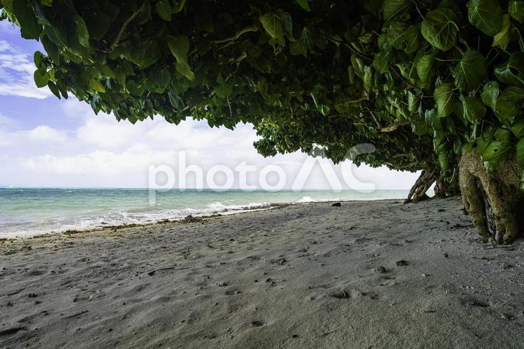 沖縄-【竹富島－竹富島の風景】 海,青,青空の写真素材