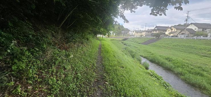 Road near the stream, JPG