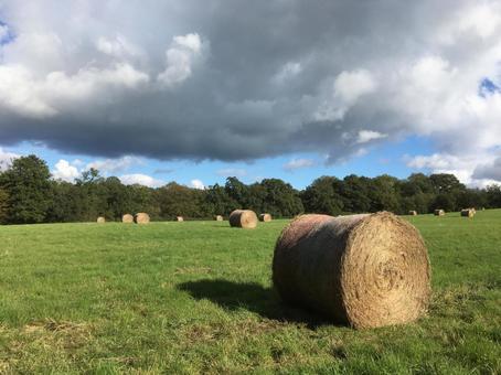 イギリスの田舎の風景ー丘と牧草ロール イギリスの田舎の風景ー丘と牧草ロール イギリス,干し草,自然の写真素材