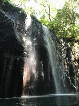 新緑と滝 新緑と滝の写真