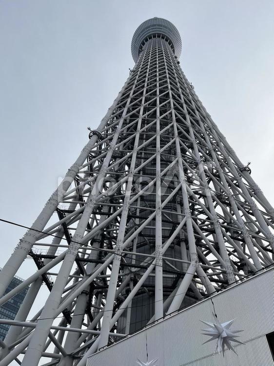 スカイツリー（あおり撮影） スカイツリー,あおり撮影,空の写真素材