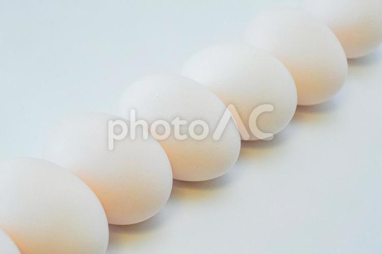 たまご、卵、egg、白背景 卵,生卵,eggの写真素材
