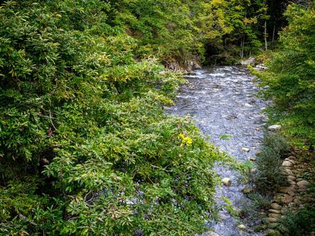 烏川渓谷緑地の川 ハイキング,山,森林の写真素材