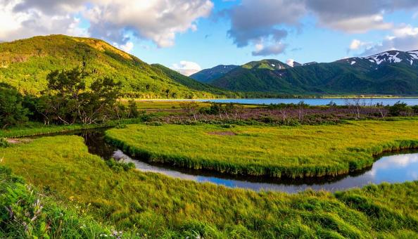 湿原 湿原の写真