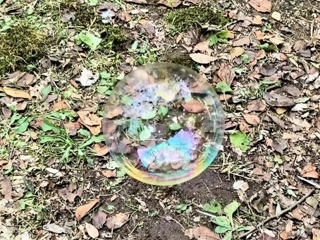 地面に落ちても割れない大きなシャボン玉 地面に落ちても割れない大きなシャボン玉の写真