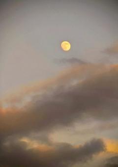 夕暮れの月と雲 夕暮れ,空,月の写真素材