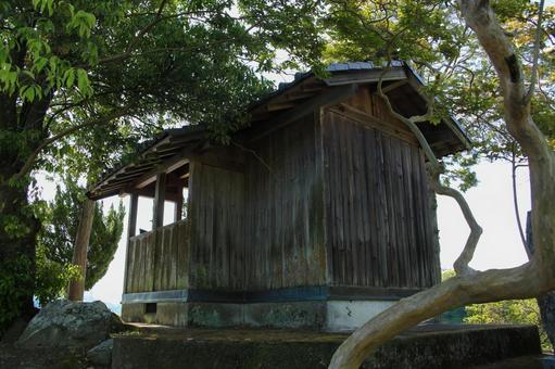 Photo, shuhin shrine, a shrine, sunny, 