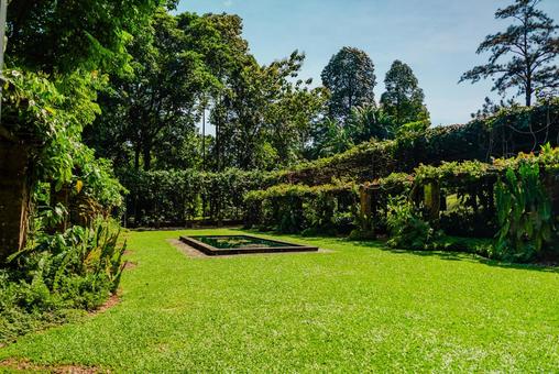【シンガポール】植物園オーキッドガーデン ナショナル,オーキッドガーデン,ガーデンの写真素材