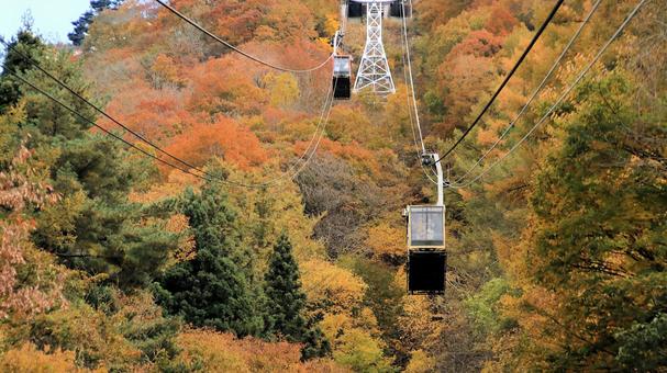 鮮やかな紅葉と富士山パノラマロープウェイ 紅葉,秋,富士山パノラマロープウェイの写真素材