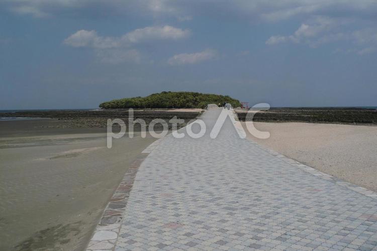 宮崎県　青島　鬼の洗濯板 青島,鬼の洗濯板,鬼の洗濯岩の写真素材