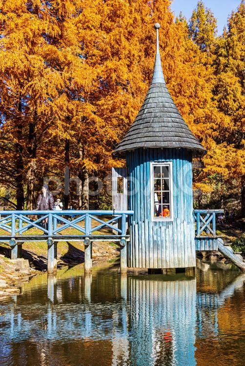 あけぼの子どもの森公園　秋の風景 紅葉,秋,公園の写真素材