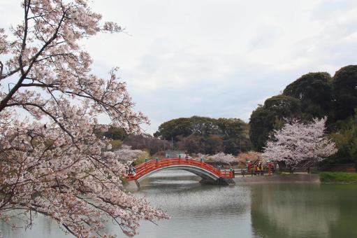 垣生公園 垣生公園の写真