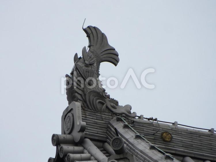 高田城　三重櫓の鯱 高田城,鮫ヶ城,輪郭式の写真素材