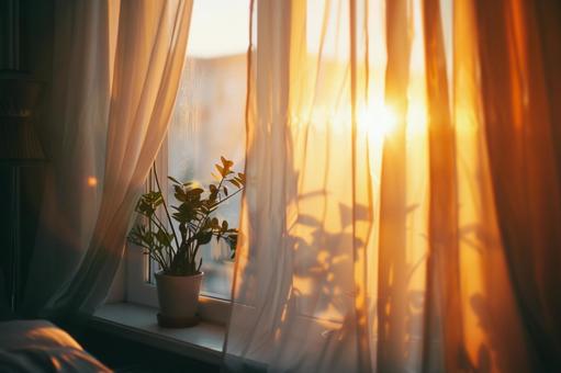 夕暮れの光が差し込むカーテンと観葉植物の写真