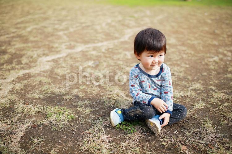 芝生に座る男の子 子供,男の子,芝生の写真素材