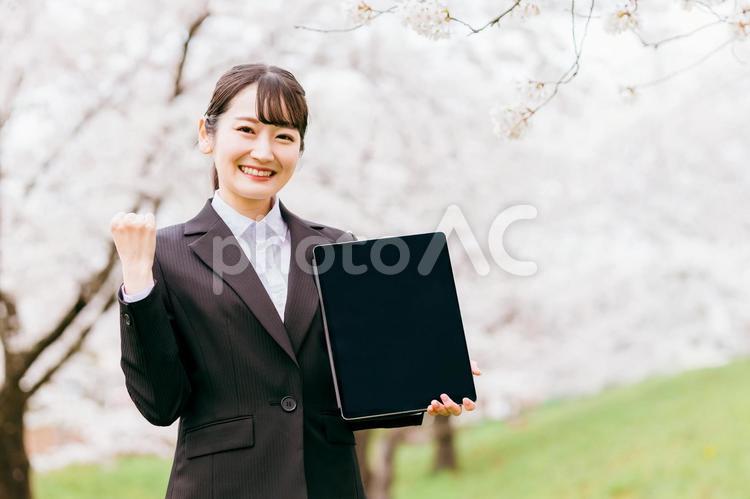 満開の桜の下でガッツポーズをする女性 求人,就職,転職の写真素材
