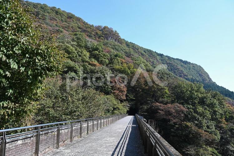 碓氷峠にある眼鏡橋付近の色付き始めた紅葉 自然,山,秋の写真素材