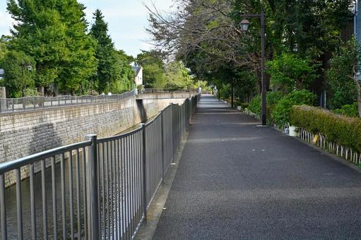 善福寺川沿いの道 善福寺川沿いの道 癒やし,散策,風景の写真素材