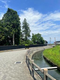 青空と散歩道 青空と散歩道の写真