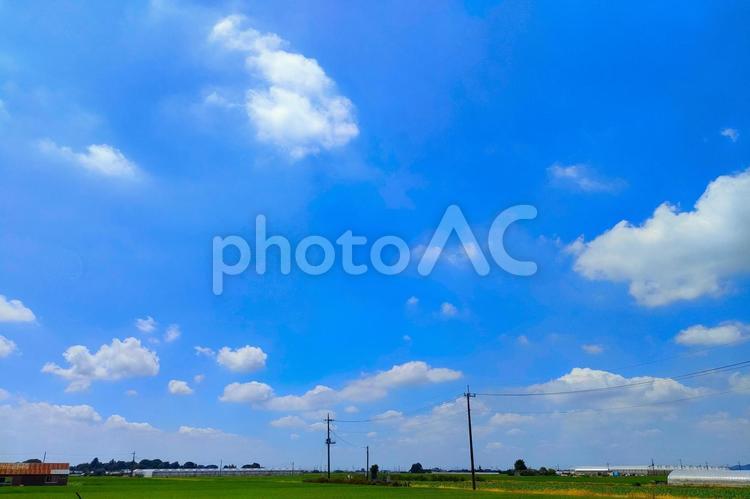 青空の下に広がる田園風景 青空,雲,空の写真素材