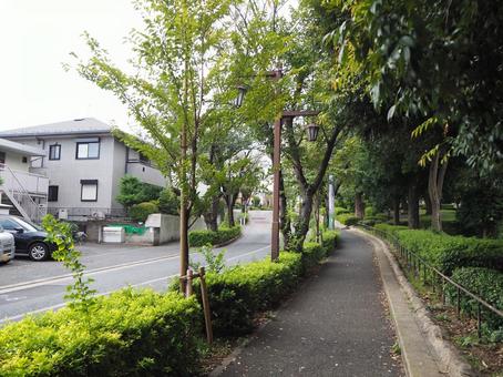 祖師ヶ谷の街並み(東京都・世田谷区) 祖師ヶ谷の街並み(東京都・世田谷区)の写真