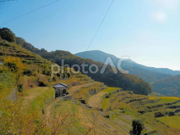 田舎の段々畑 段々畑,田舎,畑の写真素材