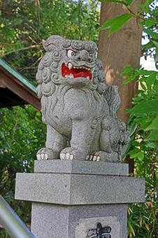 大麻止乃豆乃天神社(稲城) 大麻止乃豆乃天神社(稲城) 大麻止乃豆乃天神社,櫛真智命,旧郷社の写真素材