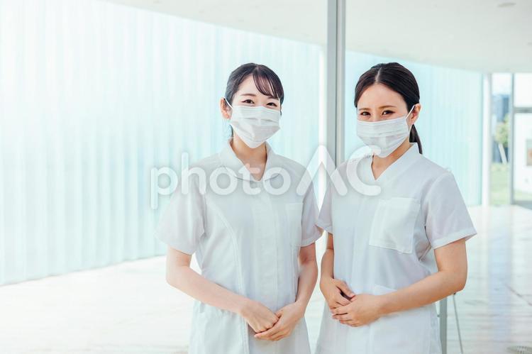 白衣・ナース服を着た女性（マスク・2人） 看護師,ナース,介護士の写真素材