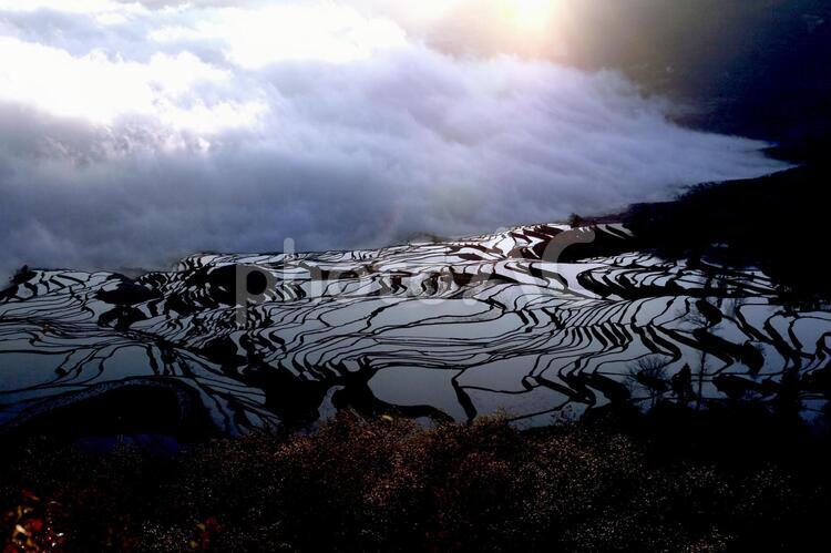 棚田の風景　11 中国,雲南省,山岳地の写真素材