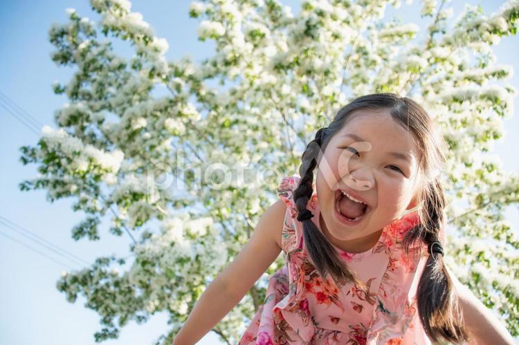 ヒトツバタゴと女の子 ヒトツバタゴ,花,ナンジャモンジャノキの写真素材