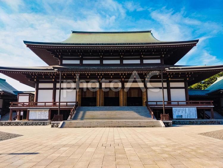 昼下がりの成田山大本堂 成田山,大本堂,成田の写真素材