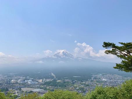 新緑と富士山の調和 新緑と富士山の調和の写真