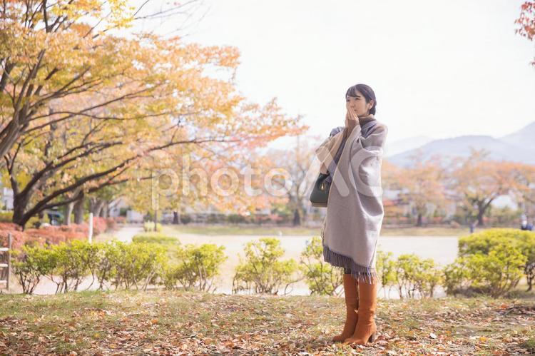 秋の訪れを感じる女性 秋,女性,紅葉の写真素材