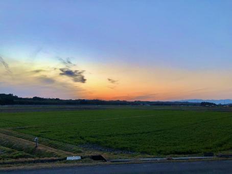 滋賀県の田んぼと夕日 滋賀県の田んぼと夕日の写真