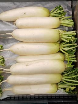 八百屋さんの大根 だいこん,野菜,冬の写真素材