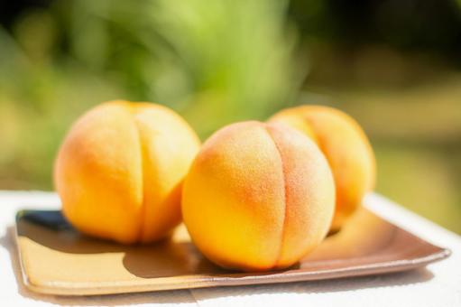 美味しそうな桃 美味しそうな桃 桃,黄桃,果物の写真素材