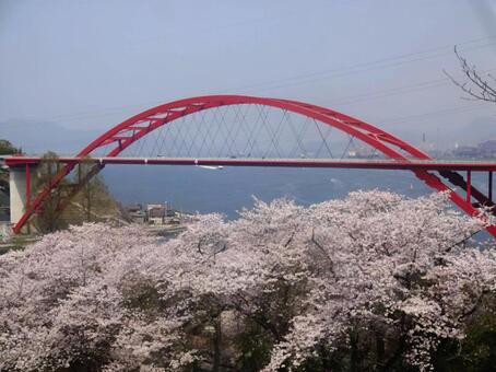 素敵な絶景 音戸の瀬戸公園,音戸大橋,建物の写真素材