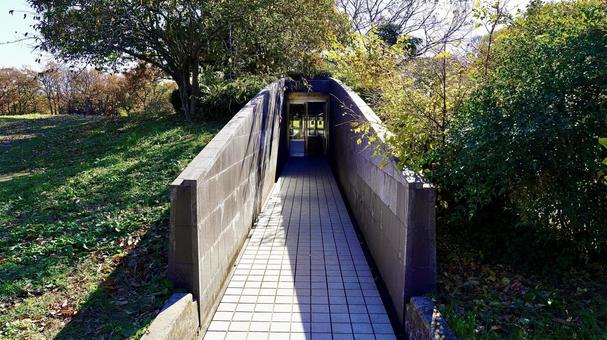 Photo, shellfish bed cross-section viewing facility, kazusuri midden wall, park, 