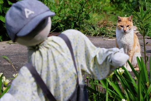 Photo, scarecrow, cat, landscape, 