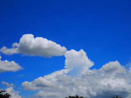 Midsummer cumulonimbus, JPG