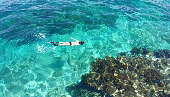 海でシュノーケリングをする女性 海でシュノーケリングをする女性の写真