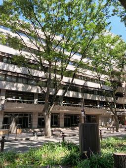 東京エレクトロンホール宮城 東京エレクトロンホール宮城の写真