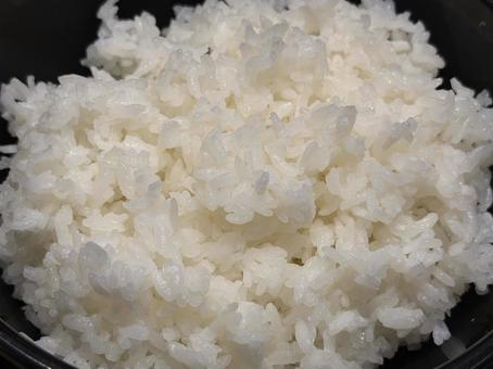 お米 米,ライス,美味しいの写真素材