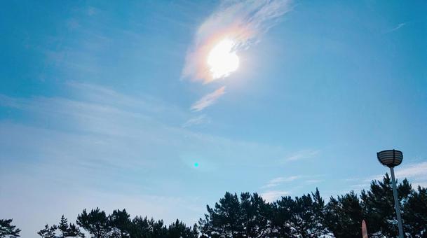 天空和雲彩, JPG 天空和雲彩, 太陽, 天空, 樹景觀, JPG