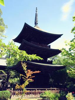 長野県-信濃国分寺-三重塔 長野県-信濃国分寺-三重塔 信濃国分寺,寺,八日堂の写真素材
