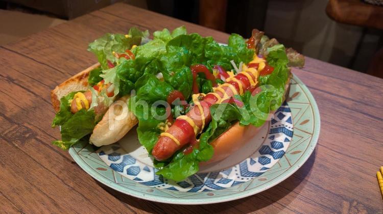ホットドッグ(横) ホットドッグ,軽食,ランチの写真素材