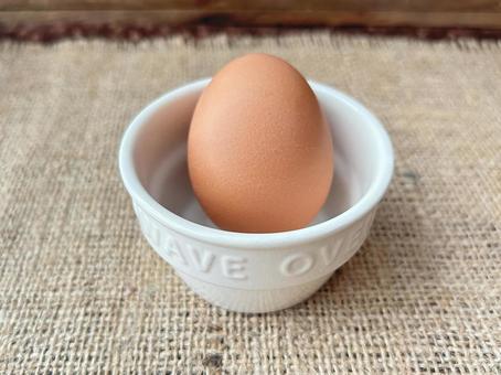 卵 卵,鶏,鶏卵の写真素材