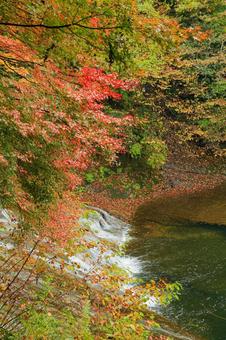 養老渓谷 養老渓谷,粟又の滝,滝の写真素材