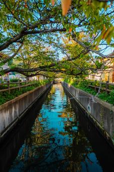 【鳥取】妖怪の街米子の水木しげるロード 鳥取,妖怪,米子の写真素材