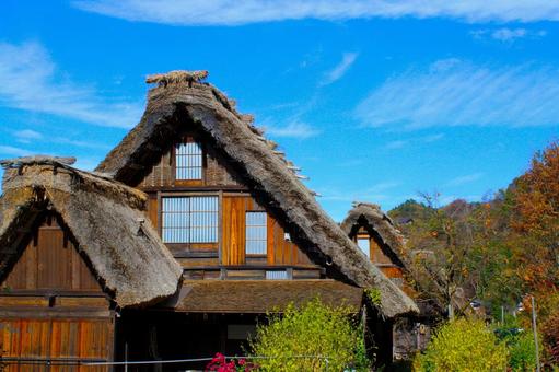 秋の白川郷・日本の心のふるさと 秋の白川郷・日本の心のふるさと 白川郷,合掌造り,集落の写真素材